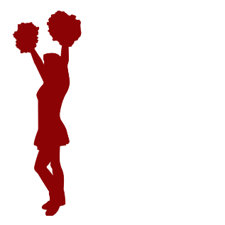 High School Football Records